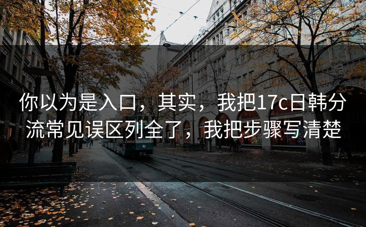 你以为是入口，其实，我把17c日韩分流常见误区列全了，我把步骤写清楚