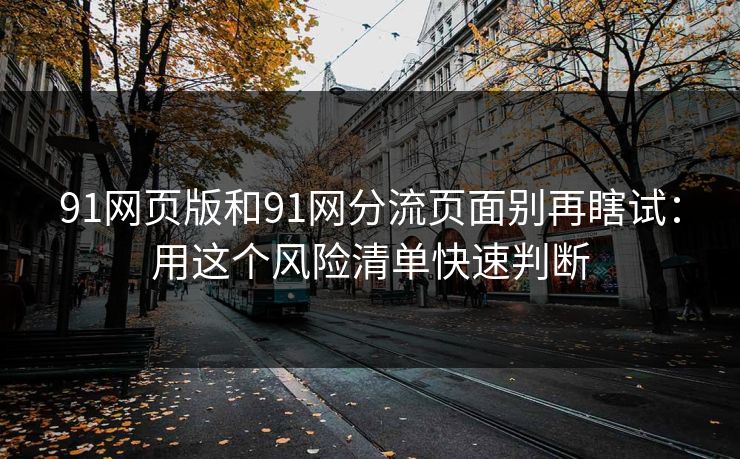 91网页版和91网分流页面别再瞎试：用这个风险清单快速判断