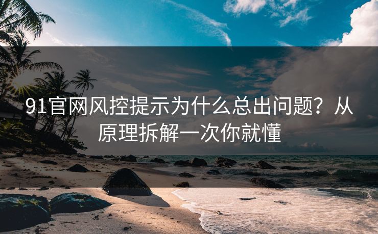 91官网风控提示为什么总出问题？从原理拆解一次你就懂