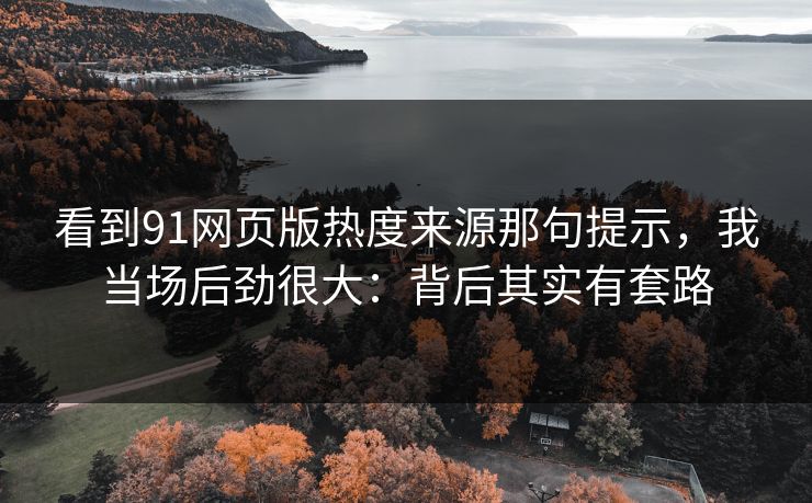 看到91网页版热度来源那句提示，我当场后劲很大：背后其实有套路