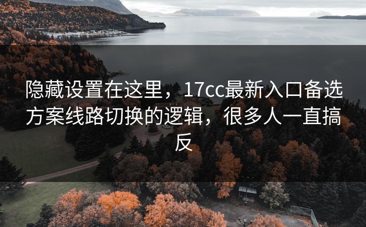 隐藏设置在这里，17cc最新入口备选方案线路切换的逻辑，很多人一直搞反