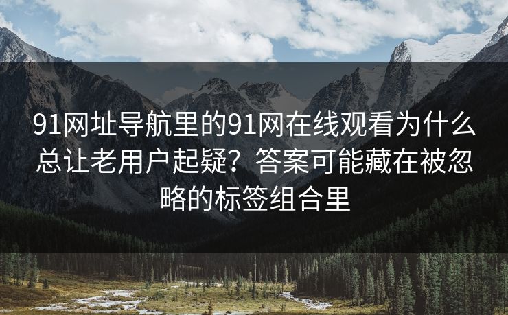 91网址导航里的91网在线观看为什么总让老用户起疑?答案可能藏在被忽略的标签组合里 91网址导航里的91网在线观看为什么总让老用户起疑?答案可能藏在被忽略的标签组合里